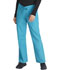 Photograph of Dickies EDS Signature Unisex Drawstring Pant in Teal Blue