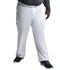 Photograph of Dickies EDS Signature Men's Zip Fly Pull-On Pant in White