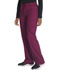 Photograph of Dickies EDS Signature Unisex Drawstring Pant in Wine