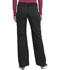 Photograph of Dickies Gen Flex Low Rise Drawstring Cargo Pant in Black