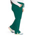 Photograph of Dickies Every Day EDS Essentials Mid Rise Straight Leg Drawstring Pant in Hunter Green