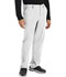 Photograph of Dickies Every Day EDS Essentials Men's Natural Rise Drawstring Pant in White