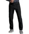 Photograph of Dickies Every Day EDS Essentials Unisex Natural Rise Tapered Leg Pant in Black