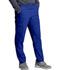Photograph of Dickies Every Day EDS Essentials Unisex Natural Rise Tapered Leg Pant in Galaxy Blue