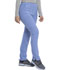 Photograph of Dickies Retro Mid Rise Tapered Leg Pull-on Cargo Pant in Ciel