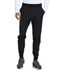 Photograph of Dickies Dickies Dynamix Men's Natural Rise Jogger in Black