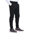 Photograph of Dickies Dickies Dynamix Men's Natural Rise Jogger in Black