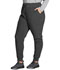Photograph of Dickies Every Day EDS Essentials Mid Rise Jogger in Pewter