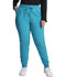 Photograph of Dickies Every Day EDS Essentials Mid Rise Jogger in Teal Blue