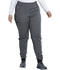 Photograph of Dickies Dickies Balance Mid Rise Jogger Pant in Heather Steel