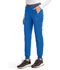 Photograph of Dickies Dickies Dynamix Natural Rise Tapered Leg Jogger Pant in Royal