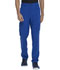 Photograph of Dickies Advance Men's Straight Leg Zip Fly Cargo Pant in Galaxy Blue