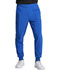Photograph of Dickies Every Day EDS Essentials Men's Mid Rise Jogger in Royal