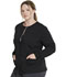 Photograph of Dickies Dickies Balance Snap Front Jacket in Black