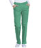Photograph of Dickies Genuine Dickies Industrial Strength Mid Rise Straight Leg Drawstring Pant in Surgical Green
