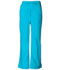 Photograph of Dickies EDS Signature Mid Rise Drawstring Cargo Pant in Turquoise
